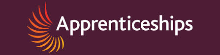 Two Million Apprenticeships in the UK, this week Business Secretary Vince Cable announced that the Government has reached it's target of starting 2 million apprenticeships.